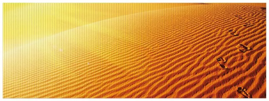 Коврик для душа Wallario, нескользящий коврик, коврик для ванной комнаты, следы на песке - песчаная дюна в пустыне, размер ок. 180 х 65 см, коричневый