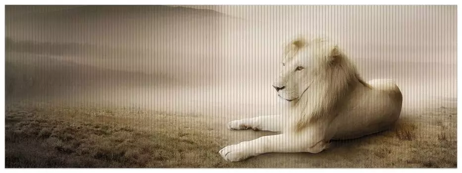 Коврик для душа Wallario, нескользящий коврик, коврик для ванной, коврик для двери, величественный отдыхающий лев в Африке в цветах сепии, размер ок. 180 х 65 см, коричневый