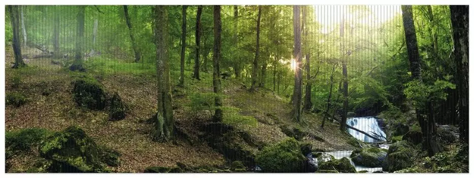 Коврик для душа Wallario, нескользящий коврик, коврик для ванной, коврик для двери, струящийся ручей в лесу на закате, размер ок. 180 х 65 см, черный