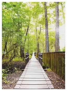 Коврик для душа Wallario, нескользящий коврик, коврик для ванной, коврик для ног, прогулка по лесу, деревянная дорожка над рекой, размер ок. 90 х 65 см, желтый