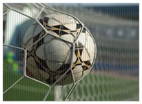 Коврик для душа Wallario, нескользящий коврик, коврик для ванной, коврик для ног, футбольный мяч в воротах - футбольное поле, размер ок. 90 х 65 см, зеленый