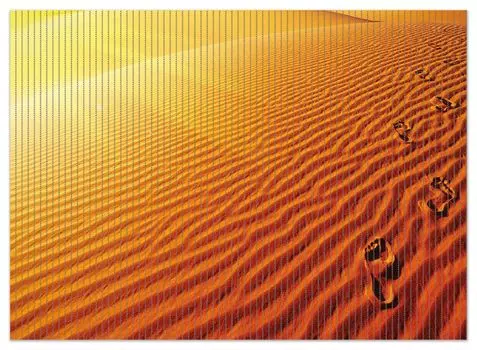 Коврик для душа Wallario, нескользящий коврик, коврик для ванной, коврик для ног, следы на песке - песчаная дюна в пустыне, размер ок. 90 х 65 см, коричневый