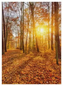 Коврик для душа Wallario, нескользящий коврик, коврик для ванной, коврик для двери, закат в осеннем лесу, размер ок. 90 х 65 см, коричневый