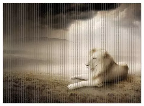 Коврик для душа Wallario, нескользящий коврик, коврик для ванной, коврик для двери, величественный отдыхающий лев в Африке в цветах сепии, размер ок. 90 х 65 см, коричневый