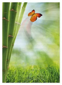 Коврик для душа Wallario, нескользящий коврик, коврик для ванной, коврик для двери, зеленая бабочка с бамбуком, размер ок. 70 х 50 см, зеленый