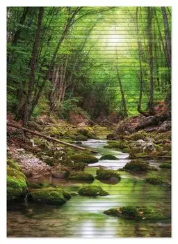 Коврик для душа Wallario, нескользящий коврик, коврик для ванной, коврик для двери, река в лесу, размер ок. 70 х 50 см, черный