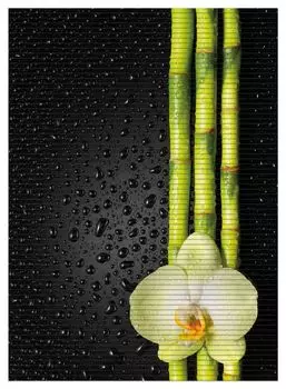 Коврик для душа Wallario, нескользящий коврик, коврик для ванной, коврик для двери, зеленая орхидея с бамбуком на черном - капли дождя, размер ок. 90 х 65 см, черный