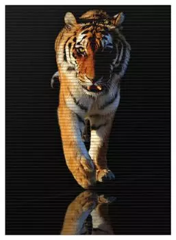 Коврик для душа Wallario, нескользящий коврик, коврик для ванной, коврик для ног, бегущий тигр, размер ок. 90 х 65 см, черный