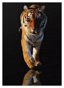 Коврик для душа Wallario, нескользящий коврик, коврик для ванной, коврик для ног, бегущий тигр, размер примерно 70 х 50 см, черный