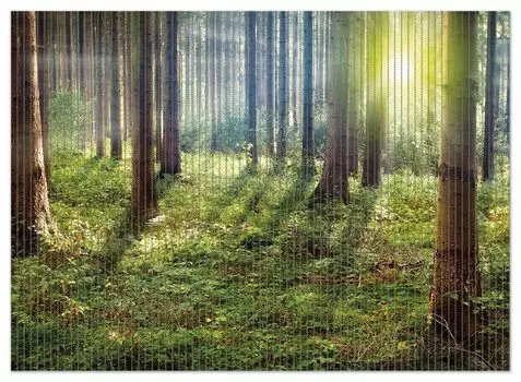 Коврик для душа Wallario, нескользящий коврик, коврик для ванной, коврик для двери, закат в лесу между деревьями, размер ок. 90 х 65 см, черный