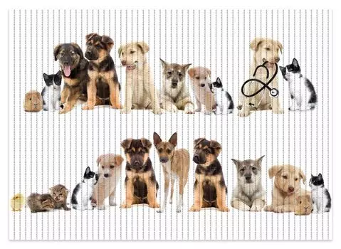 Коврик для душа Wallario, нескользящий коврик, коврик для ванной, коврик для двери, милые домашние животные - кошки, собаки, хомяки, цыплята, размер примерно 70 х 50 см, коричневый