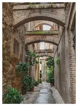 Коврик для душа Wallario, нескользящий коврик, коврик для ванной, коврик для двери, зеленая итальянская аллея - со старыми арками, размер ок. 90 х 65 см, коричневый