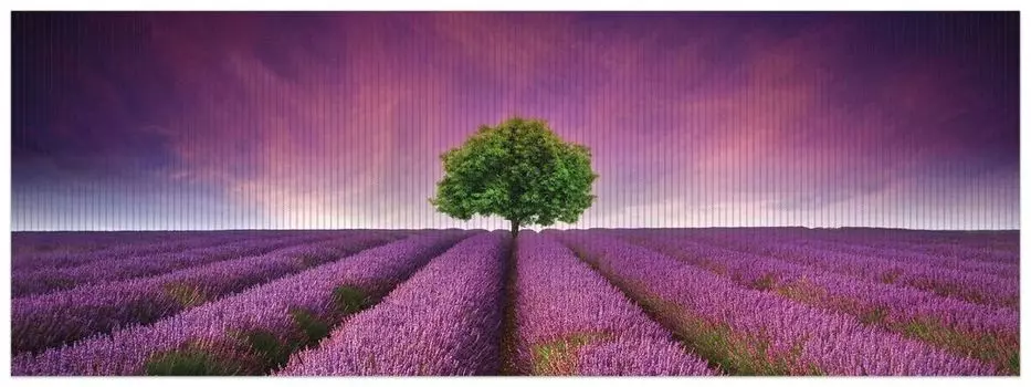 Коврик для душа Wallario, нескользящий коврик, коврик для ванной, коврик для двери, фиолетовое цветочное поле, размер ок. 180 x 65 см, черный