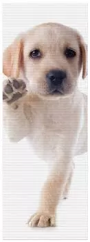 Коврик для душа Wallario, нескользящий коврик, коврик для ванной, коврик для двери, милый щенок лабрадора передает привет, размер примерно 180 х 65 см, коричневый