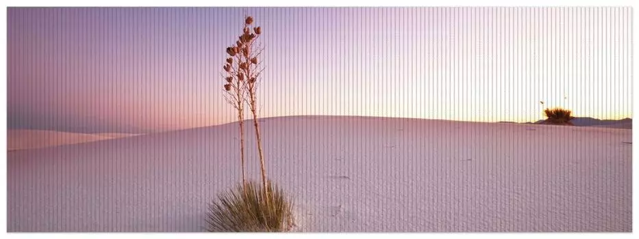 Коврик для душа Wallario, нескользящий коврик, коврик для ванной, коврик для двери, небольшой оазис в пустыне, размер ок. 180 х 65 см, розовый