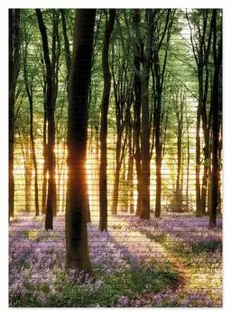 Коврик для душа Wallario, нескользящий коврик, коврик для ванной, коврик для двери, синие заячьи колокольчики в лесу с солнечными лучами, размер ок. 70 х 50 см, черный