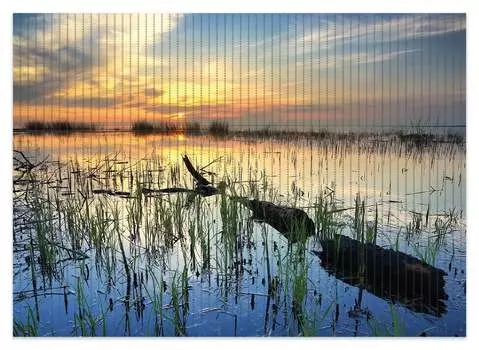 Коврик для душа Wallario, нескользящий коврик, коврик для ванной, коврик, камыш вечером - закат над пейзажем озера, размер ок. 70 х 50 см, синий