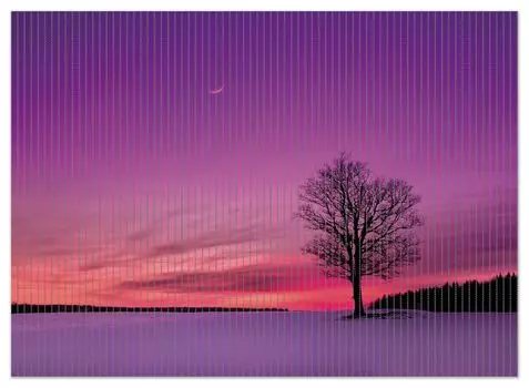 Коврик для душа Wallario, нескользящий коврик, коврик для ванной, коврик, луна и дерево вечером в снегу, размер примерно 90 х 65 см, черный