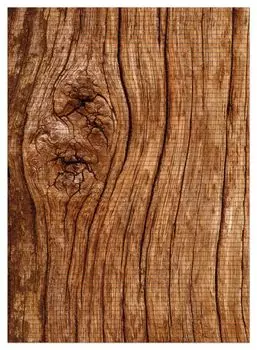 Коврик для душа Wallario, нескользящий коврик, коврик для ванной, коврик для двери, деревянный сундук с сучками, размер ок. 90 х 65 см, черный