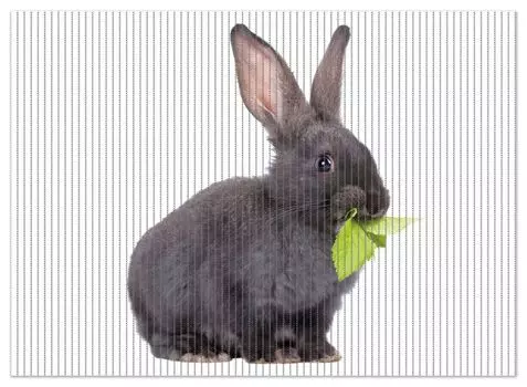 Коврик для душа Wallario, нескользящий коврик, коврик для ванной, коврик для двери, милый кролик с зеленью во время еды, размер примерно 90 х 65 см, белый