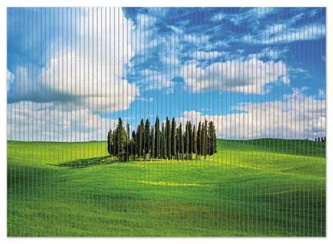 Коврик для душа Wallario, нескользящий коврик, коврик для ванной, коврик для двери, небольшой лес посреди широкого луга, размер ок. 90 х 65 см, черный