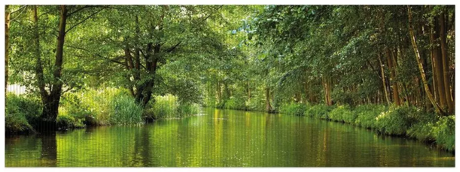 Коврик для душа Wallario, нескользящий коврик, коврик для ванной, коврик для двери, Шпревальд в Бранденбурге, зеленые леса и отражения в воде, размер ок. 180 х 65 см, зеленый