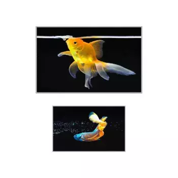 Коврик для ванной Conceptum Hypnose, белый