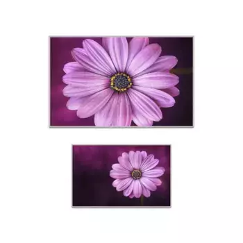 Коврик для ванной Conceptum Hypnose, розовый