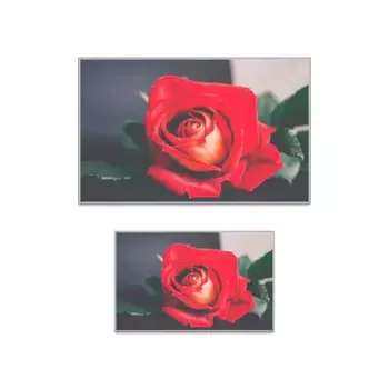 Коврик для ванной Conceptum Hypnose, зеленый