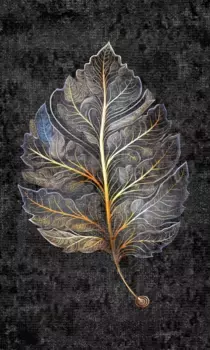 Коврик для ванной Mijolnir