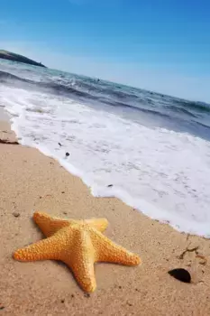 Коврик для ванной Mijolnir