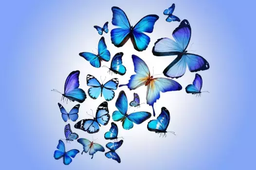 Коврик для ванной Mijolnir