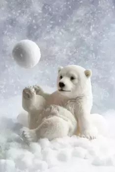 Коврик для ванной Mijolnir