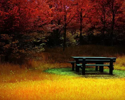 Коврик для ванной Mijolnir