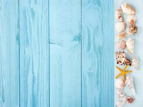 Коврик для ванной Mijolnir