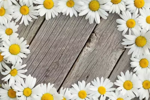 Коврик для ванной Mijolnir