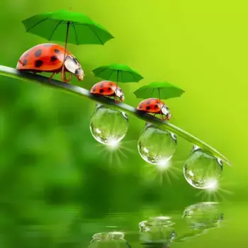 Коврик для ванной Mijolnir