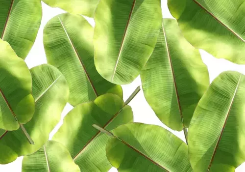 Коврик для ванной Mijolnir