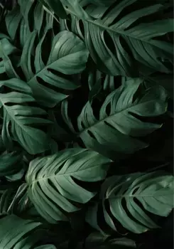 Коврик для ванной Mijolnir