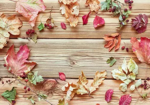 Коврик для ванной Mijolnir