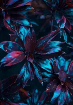 Коврик для ванной Mijolnir