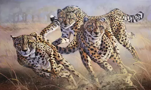 Коврик для ванной Mijolnir