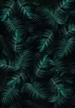 Коврик для ванной Mijolnir