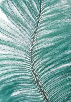 Коврик для ванной Mijolnir