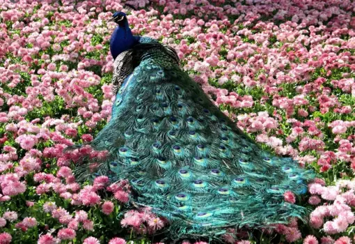 Коврик для ванной Mijolnir