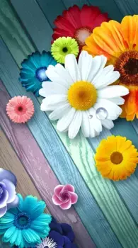 Коврик для ванной Mijolnir