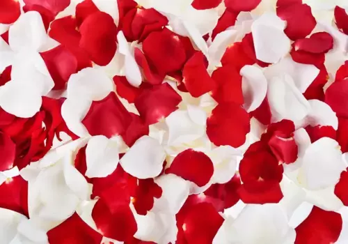 Коврик для ванной Mijolnir