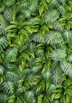 Коврик для ванной Mijolnir