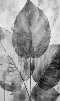 Коврик для ванной Mijolnir