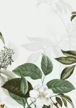 Коврик для ванной Mijolnir